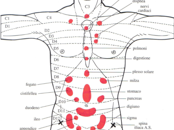 Réflexologie Abdominale et Thoracique: Les dermalgies de Jarricot