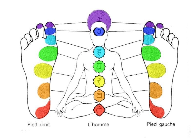 Lire la suite à propos de l’article Réflexologie et chakras