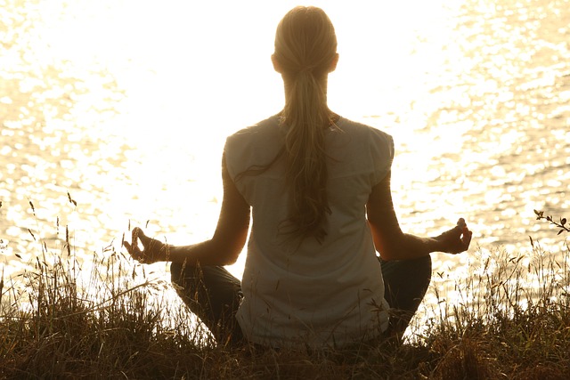 Stage de Hatha yoga