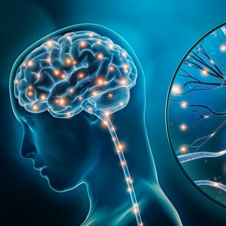 Réflexologie et système nerveux