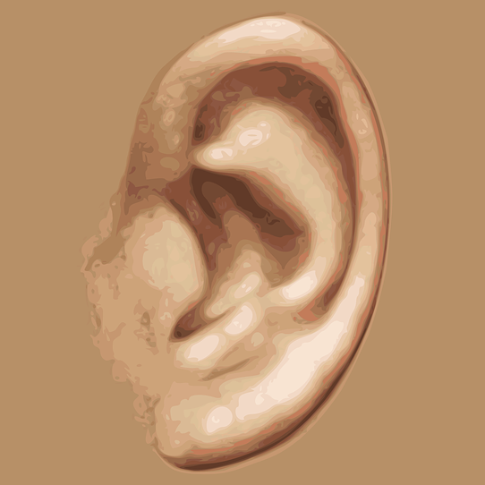 Réflexologie auriculaire